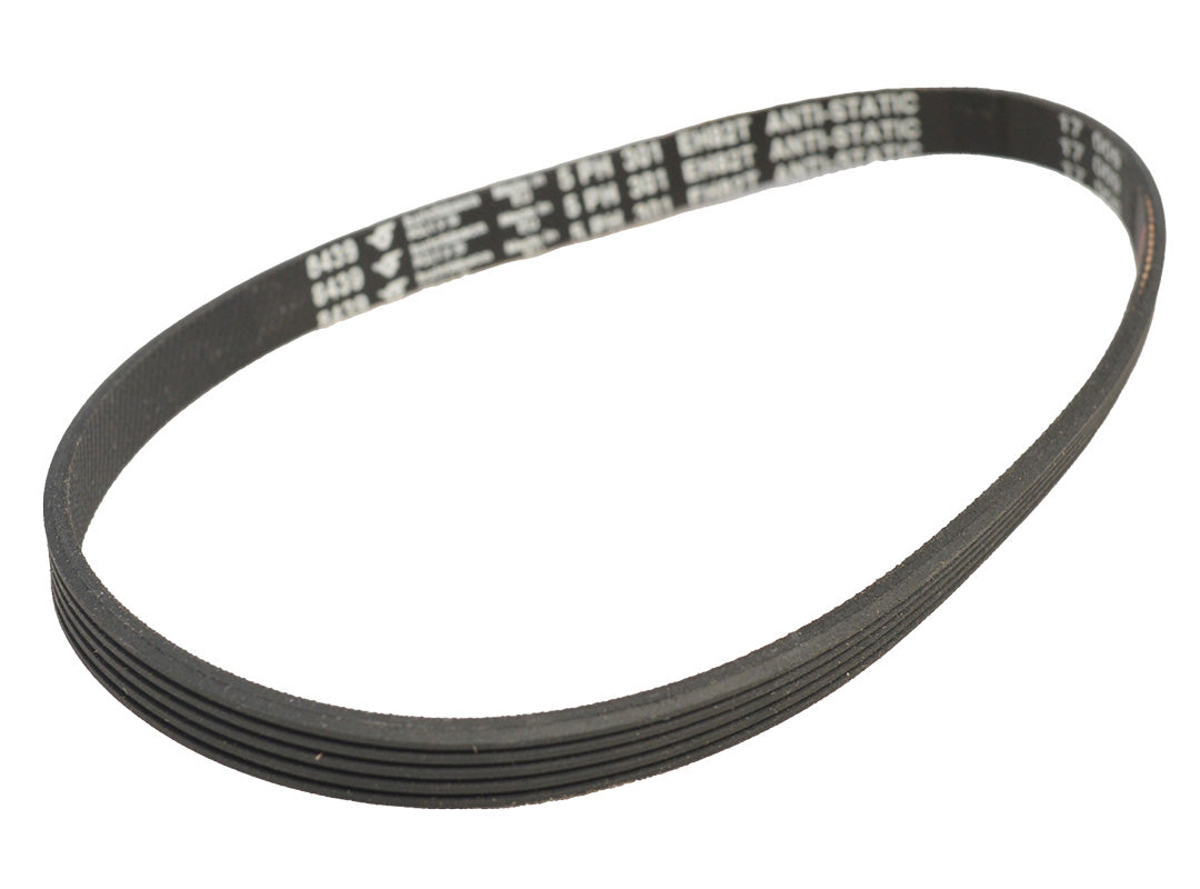 Courroie d'aspirateur Poly-V TurboCat EX Zoom – Style TP210EX (CT210EX)