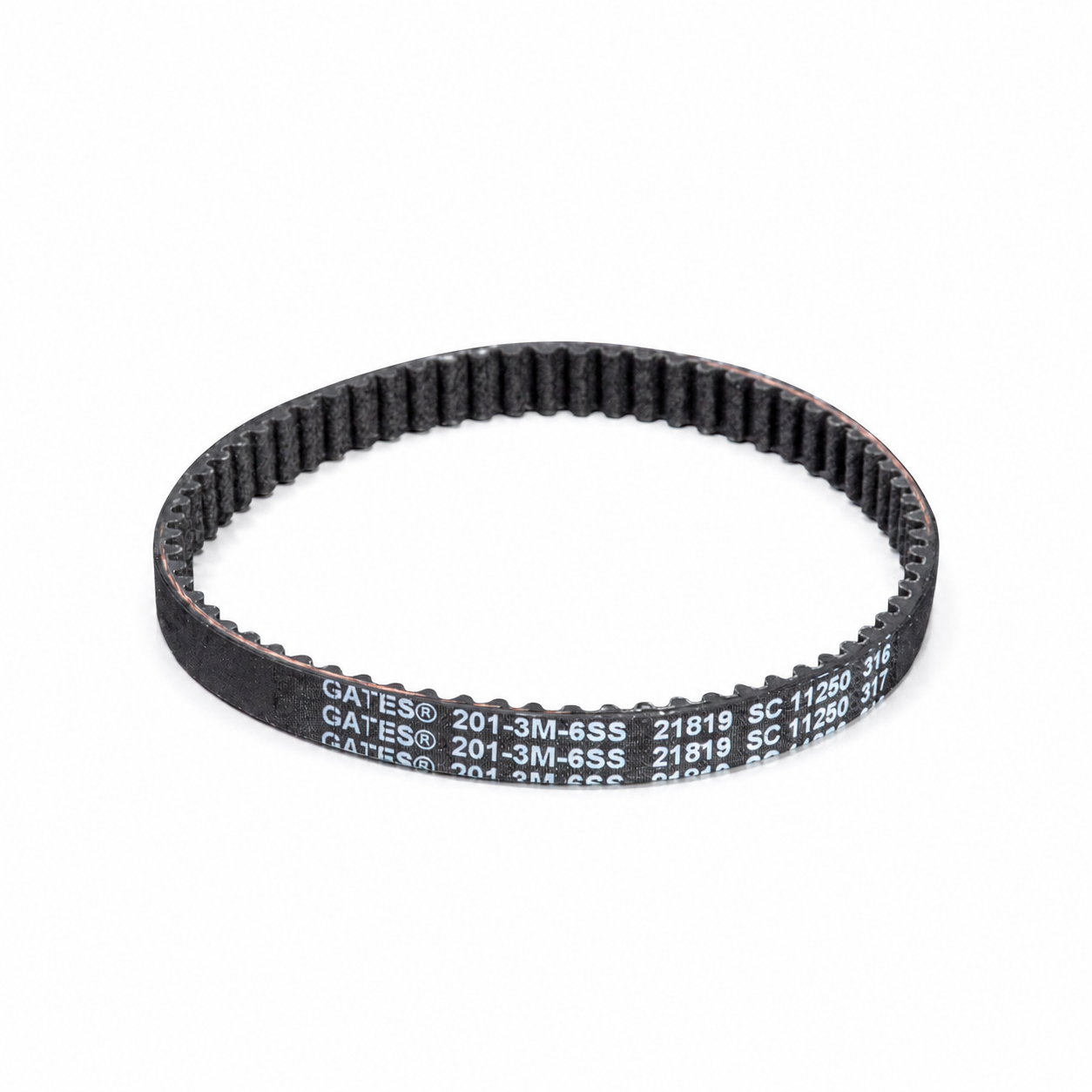 Courroie d'aspirateur dentelée Bissell ProHeat 2X – XB1606419 – 1/4" x 3 7/8"