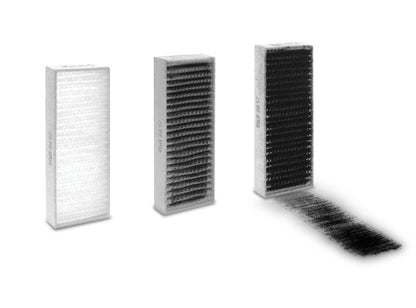 TDFILHEC2 Carbon Dust Filters - 2 Pack